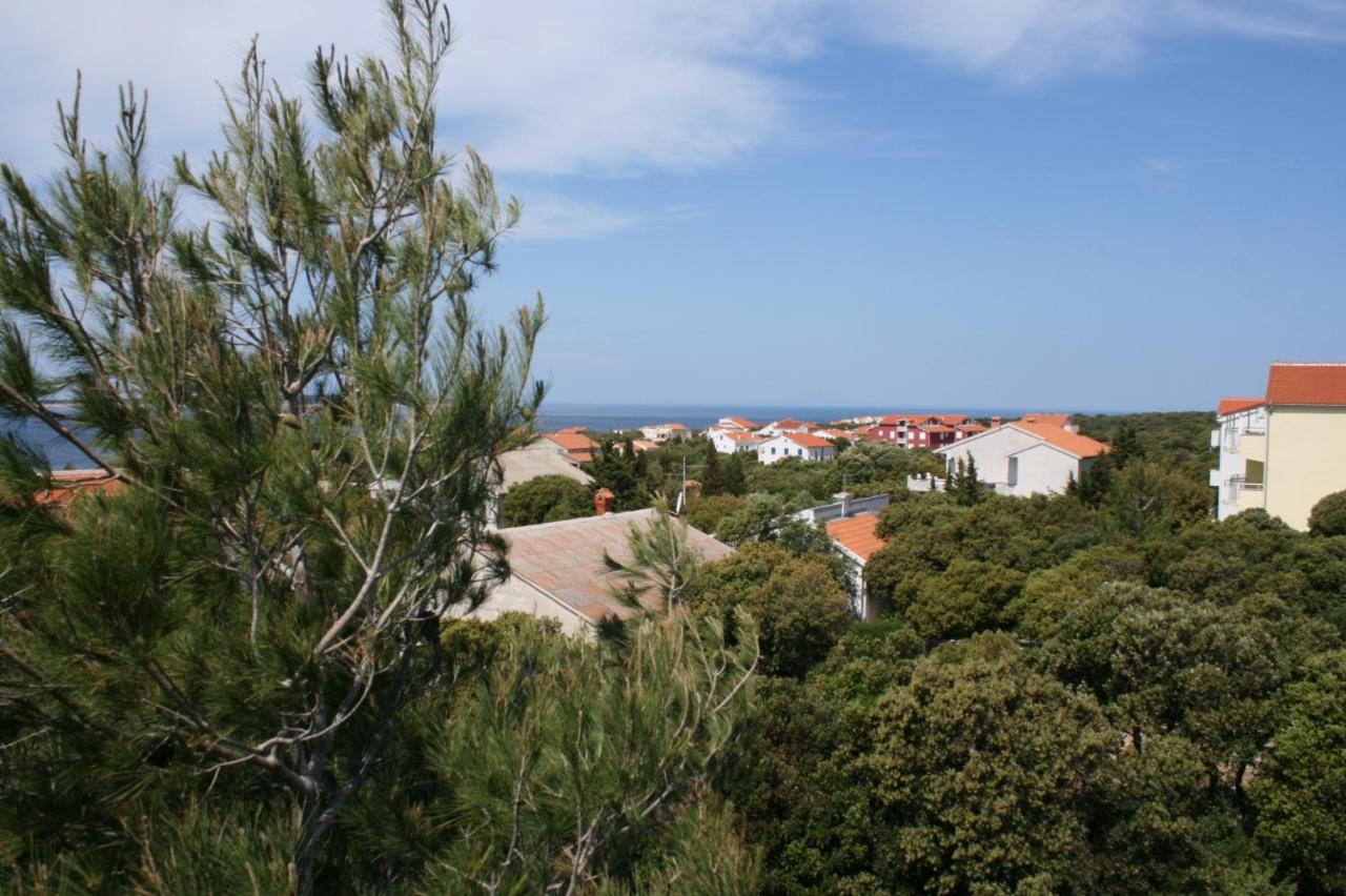 Apartments And Rooms With Parking Space Mandre, Pag - 6309 Kolan Exterior foto